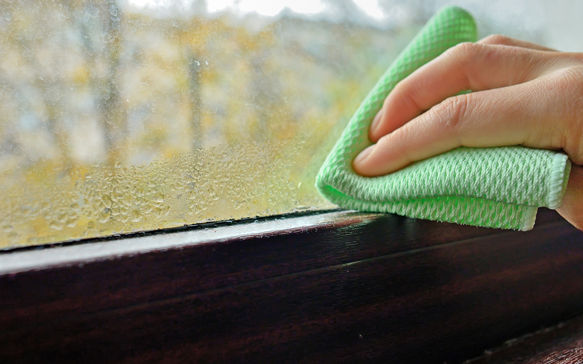 Condensation-build-up-in-rental-properties